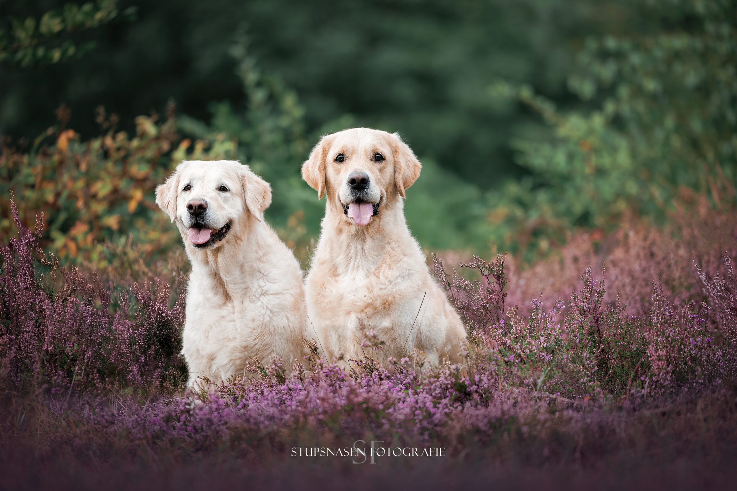 Neue Bilder -Fotoshooting September