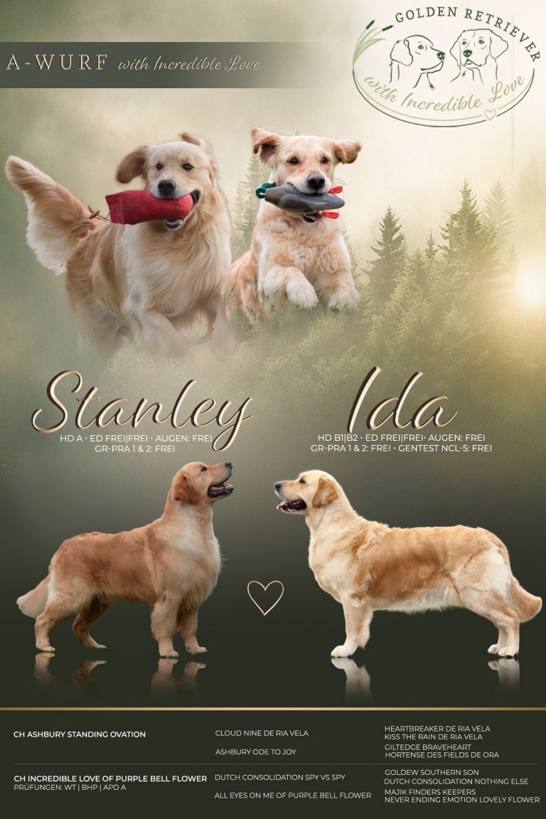 Mehr über den Artikel erfahren Unsere wunderschöne Wurfcollage!