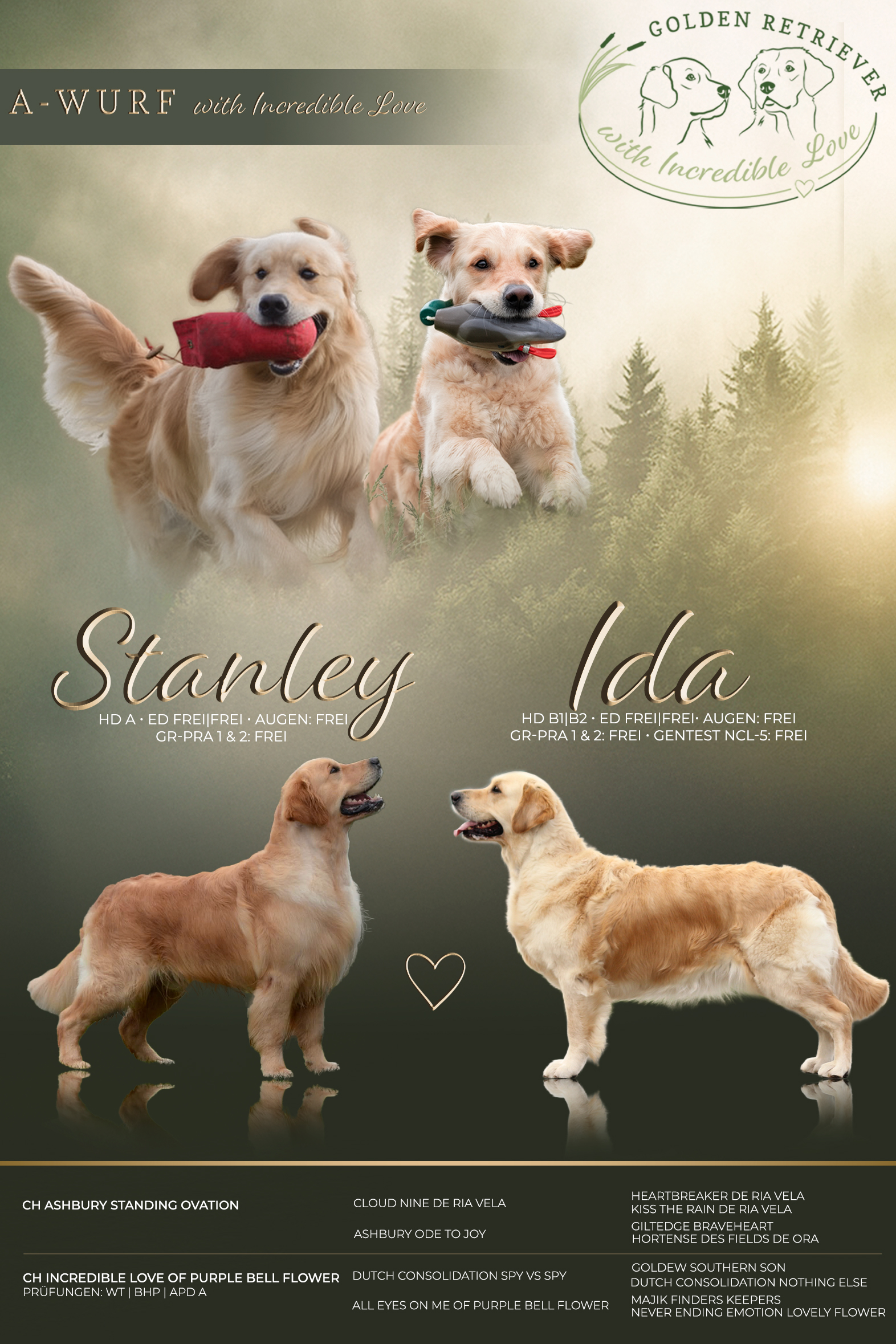 Unsere wunderschöne Wurfcollage!